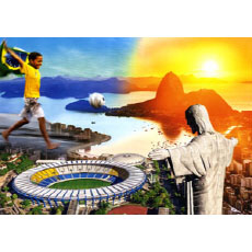 2014 브라질 월드컵